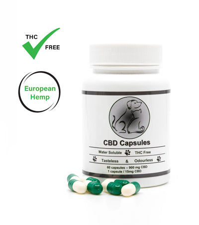 5% CBD Cápsulas para Mascotas – Amplio Espectro The Real CBD | NaturaPoint