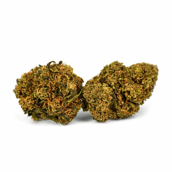Critical Jack Natural Suit | NaturaPoint