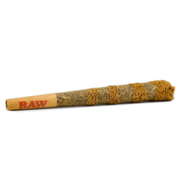Crumble Roll Natural Suit | NaturaPoint