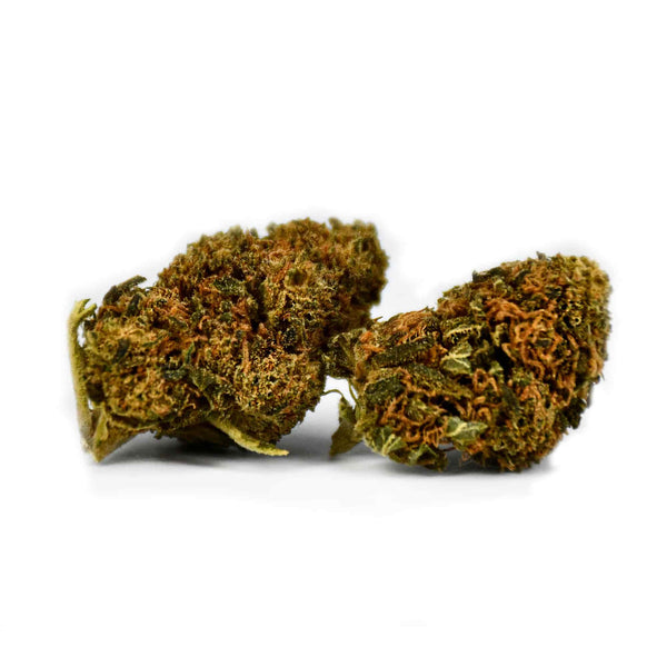 Fruity Pebbles Natural Suit | NaturaPoint