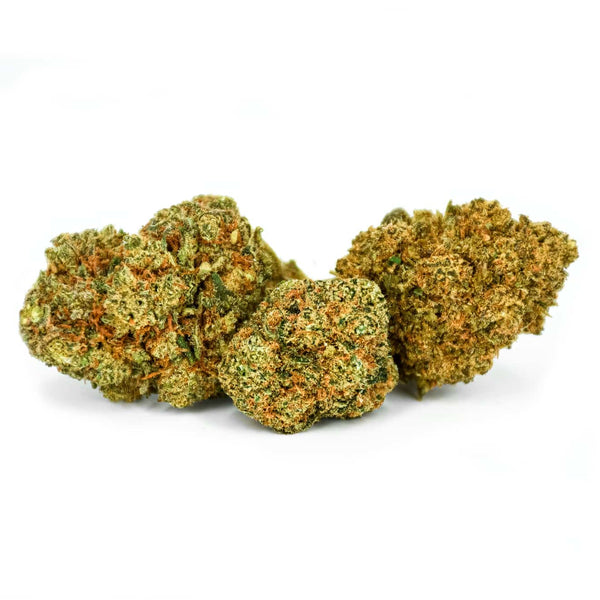 Indoor Mix 10GR Natural Suit | NaturaPoint