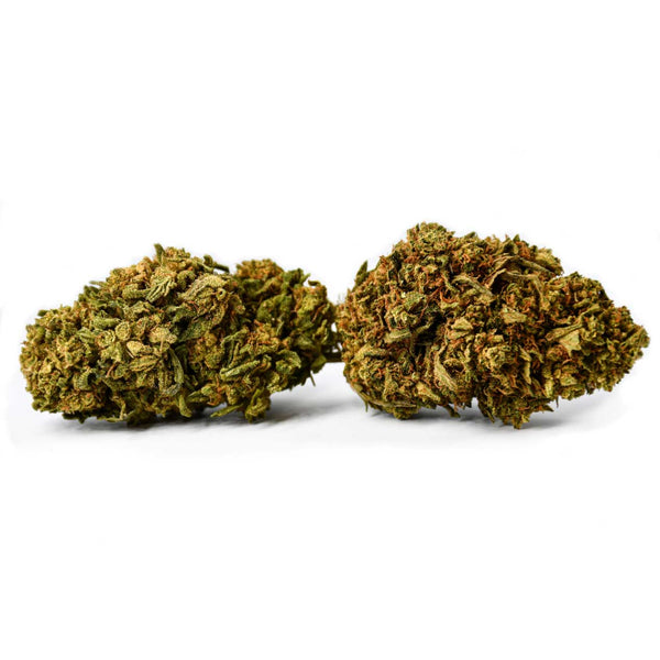 Gorilla Glue Natural Suit | NaturaPoint