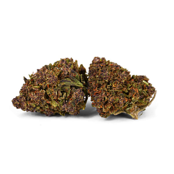 Purple Queen Natural Suit | NaturaPoint