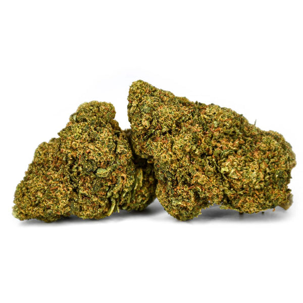 White Widow Natural Suit | NaturaPoint